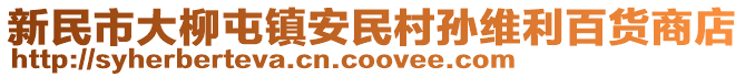 新民市大柳屯鎮(zhèn)安民村孫維利百貨商店