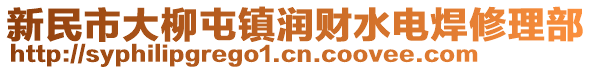 新民市大柳屯鎮(zhèn)潤(rùn)財(cái)水電焊修理部