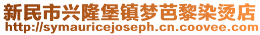 新民市興隆堡鎮(zhèn)夢(mèng)芭黎染燙店