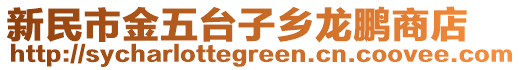 新民市金五臺子鄉龍鵬商店