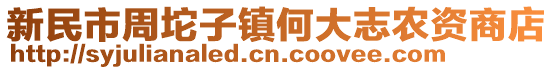 新民市周坨子鎮何大志農資商店