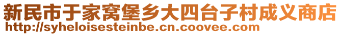 新民市于家窩堡鄉大四臺子村成義商店