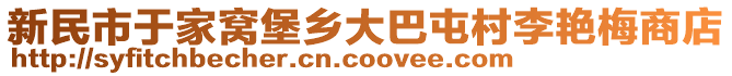 新民市于家窩堡鄉大巴屯村李艷梅商店