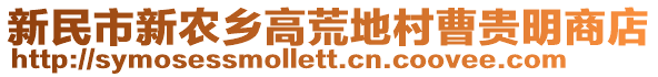 新民市新農(nóng)鄉(xiāng)高荒地村曹貴明商店