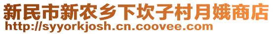 新民市新農鄉下坎子村月娥商店