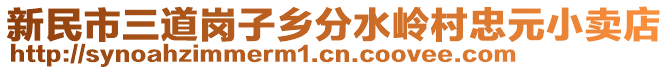 新民市三道崗子鄉(xiāng)分水嶺村忠元小賣店