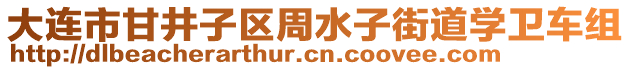 大連市甘井子區(qū)周水子街道學(xué)衛(wèi)車組