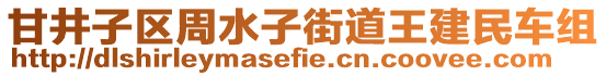 甘井子區(qū)周水子街道王建民車組