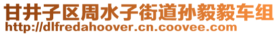 甘井子區(qū)周水子街道孫毅毅車組