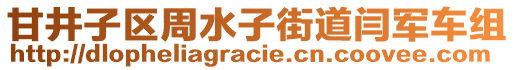 甘井子區(qū)周水子街道閆軍車組