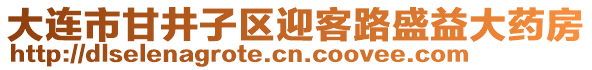 大連市甘井子區(qū)迎客路盛益大藥房