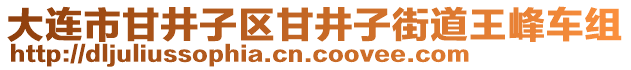 大連市甘井子區(qū)甘井子街道王峰車(chē)組