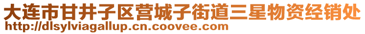 大連市甘井子區(qū)營(yíng)城子街道三星物資經(jīng)銷處