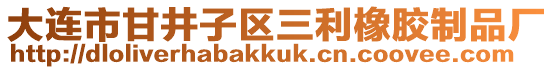 大連市甘井子區(qū)三利橡膠制品廠