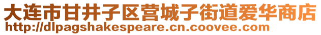 大連市甘井子區(qū)營城子街道愛華商店