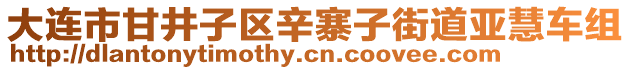 大連市甘井子區(qū)辛寨子街道亞慧車組