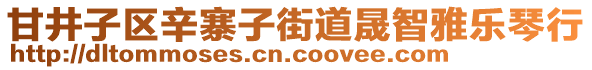 甘井子區(qū)辛寨子街道晟智雅樂琴行