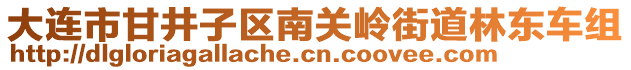 大連市甘井子區(qū)南關(guān)嶺街道林東車組