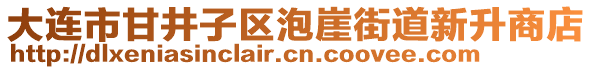 大連市甘井子區(qū)泡崖街道新升商店