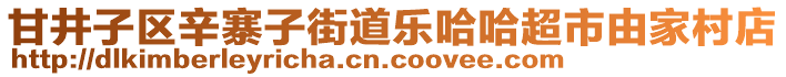 甘井子區(qū)辛寨子街道樂哈哈超市由家村店