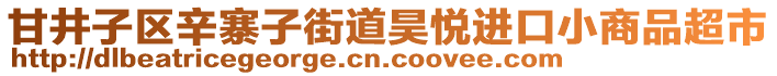 甘井子區(qū)辛寨子街道昊悅進口小商品超市