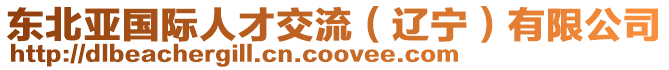 東北亞國(guó)際人才交流（遼寧）有限公司