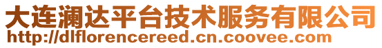 大連瀾達平臺技術服務有限公司