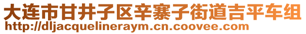 大連市甘井子區(qū)辛寨子街道吉平車(chē)組