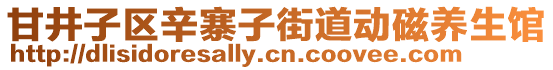 甘井子區辛寨子街道動磁養生館