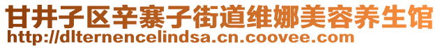 甘井子區(qū)辛寨子街道維娜美容養(yǎng)生館