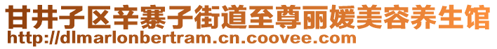 甘井子區(qū)辛寨子街道至尊麗媛美容養(yǎng)生館