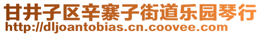 甘井子區(qū)辛寨子街道樂園琴行