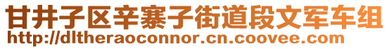 甘井子區(qū)辛寨子街道段文軍車組