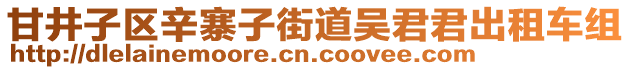 甘井子區(qū)辛寨子街道吳君君出租車組