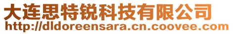 大連思特銳科技有限公司