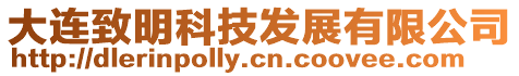 大連致明科技發(fā)展有限公司