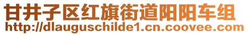 甘井子區紅旗街道陽陽車組