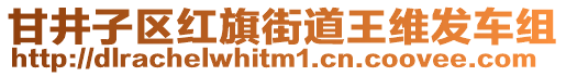 甘井子區紅旗街道王維發車組