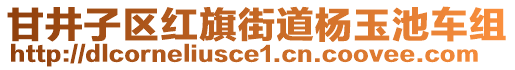甘井子區(qū)紅旗街道楊玉池車組