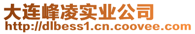 大連峰凌實業公司