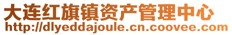 大連紅旗鎮資產管理中心