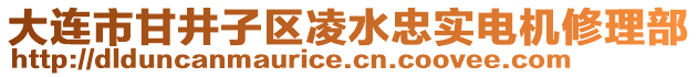 大連市甘井子區凌水忠實電機修理部