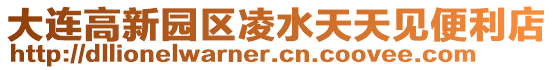 大連高新園區凌水天天見便利店