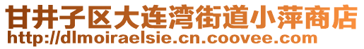 甘井子區大連灣街道小萍商店