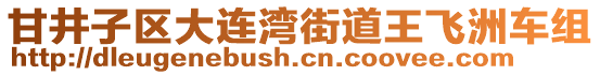 甘井子區(qū)大連灣街道王飛洲車組