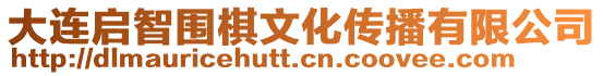 大連啟智圍棋文化傳播有限公司
