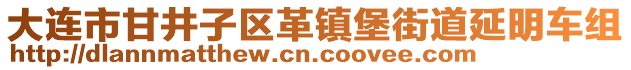 大連市甘井子區(qū)革鎮(zhèn)堡街道延明車組