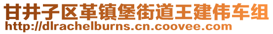 甘井子區革鎮堡街道王建偉車組