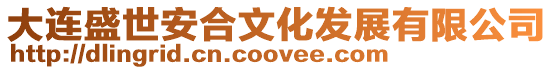 大連盛世安合文化發展有限公司