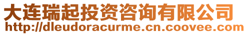 大連瑞起投資咨詢有限公司